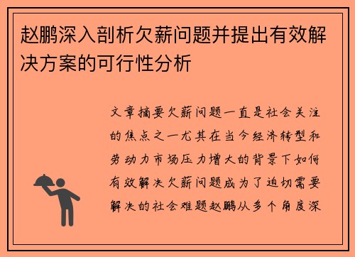 赵鹏深入剖析欠薪问题并提出有效解决方案的可行性分析